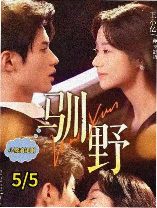 观众南桥头像